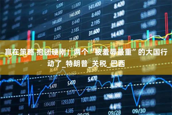 赢在策略 抱团硬刚！两个“被羞辱最重”的大国行动了_特朗普_关税_巴西