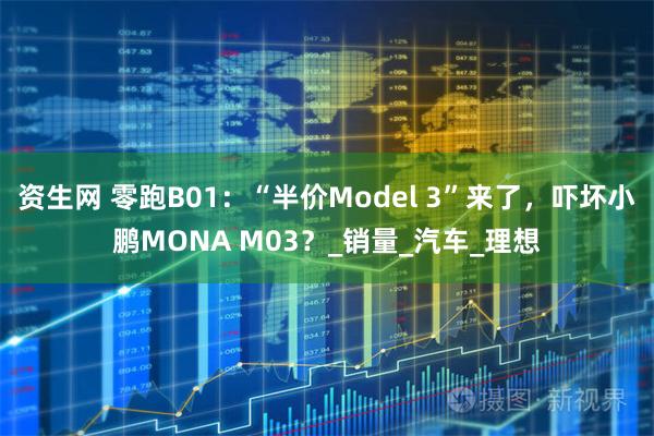 资生网 零跑B01:“半价Model 3”来了,吓坏小鹏MONA M03?_销量_汽车_理想