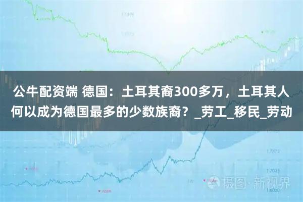 公牛配资端 德国:土耳其裔300多万,土耳其人何以成为德国最多的少数族裔?_劳工_移民_劳动