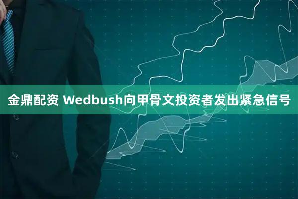 金鼎配资 Wedbush向甲骨文投资者发出紧急信号