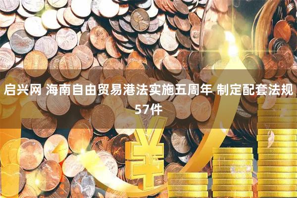 启兴网 海南自由贸易港法实施五周年 制定配套法规57件