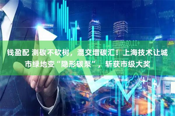 钱盈配 测碳不砍树,混交增碳汇!上海技术让城市绿地变“隐形碳泵”,斩获市级大奖