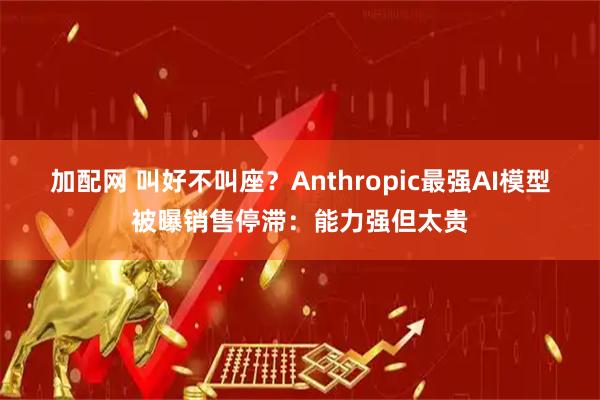 加配网 叫好不叫座？Anthropic最强AI模型被曝销售停滞：能力强但太贵
