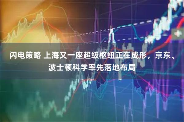 闪电策略 上海又一座超级枢纽正在成形,京东、波士顿科学率先落地布局